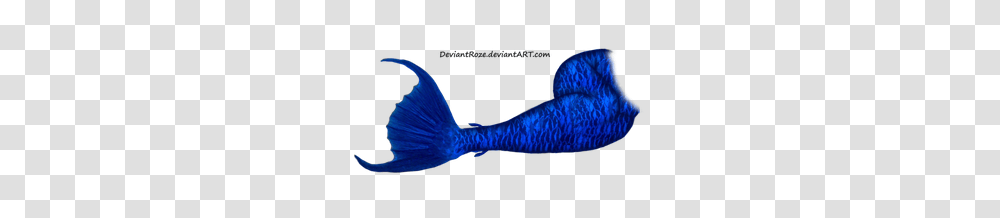 Mermaid Tail, Sea Life, Animal, Sock, Fish Transparent Png