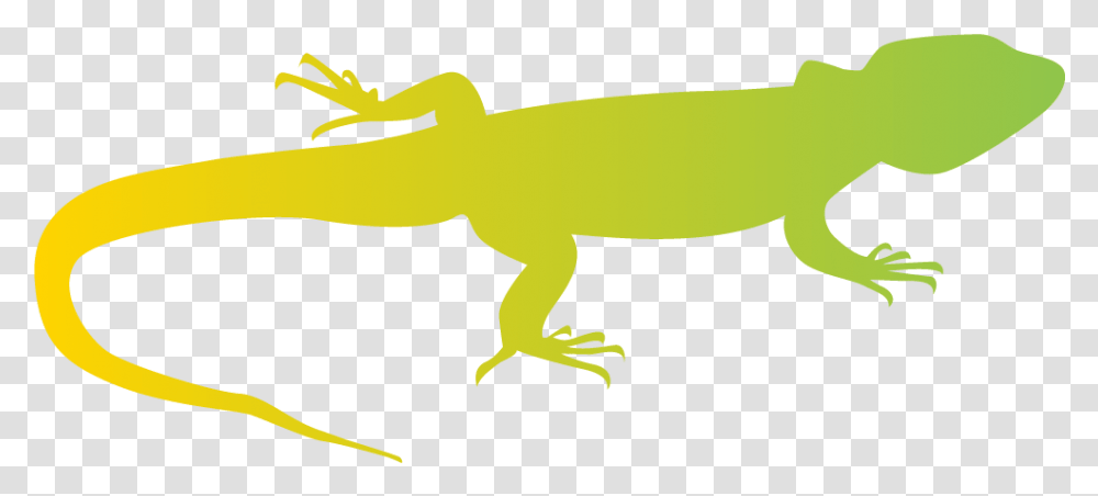 Mermaid Tail Silhouette, Gecko, Lizard, Reptile, Animal Transparent Png