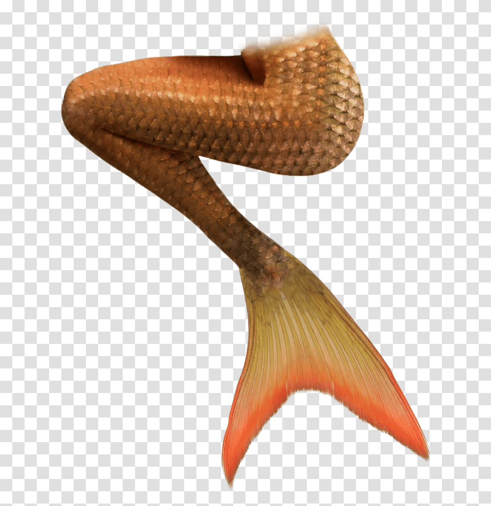 Mermaid Tail Silhouette Orange Mermaid Tail, Axe, Tool, Bird, Animal Transparent Png