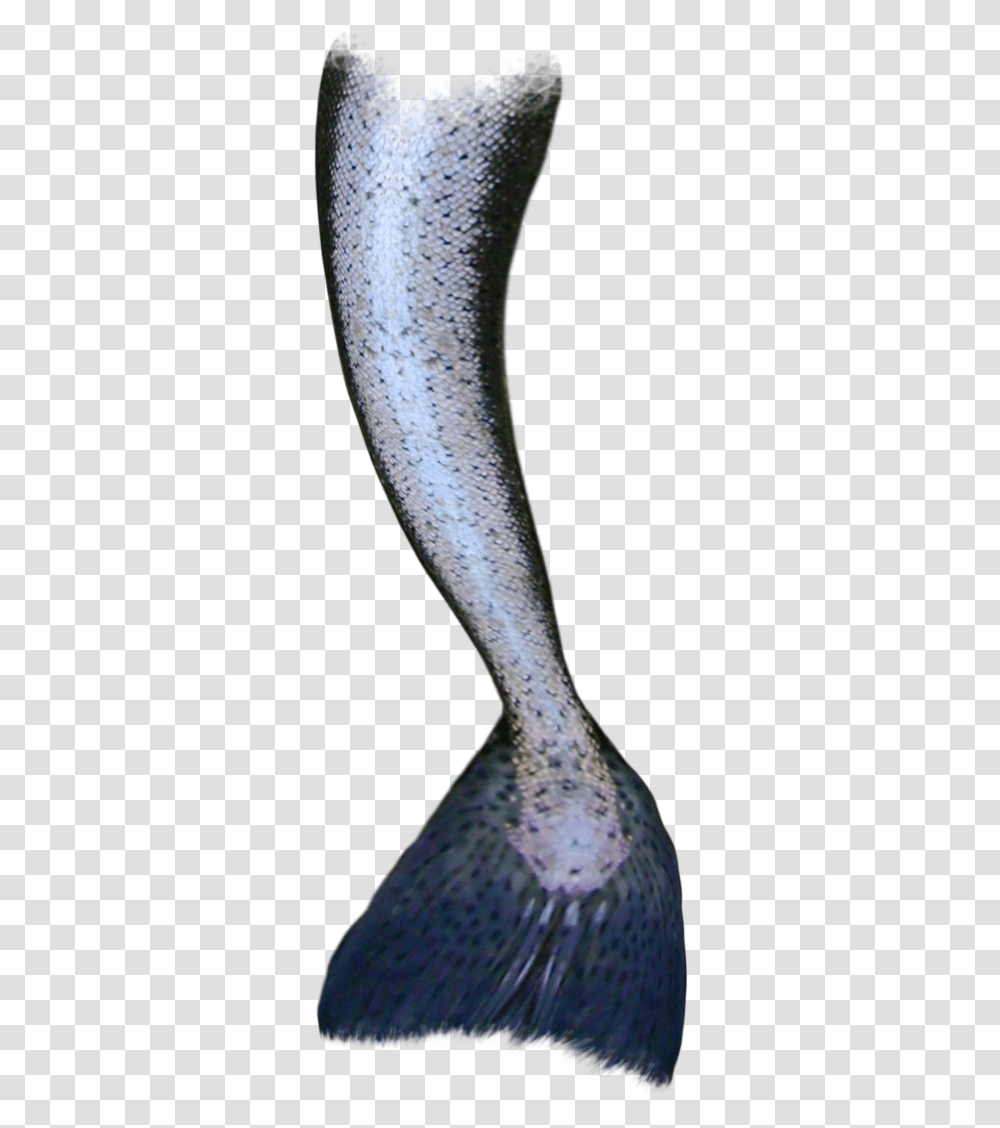 Mermaid Tail Siren Mermaid Tails No Background, Bird, Animal, Fish, Weapon Transparent Png