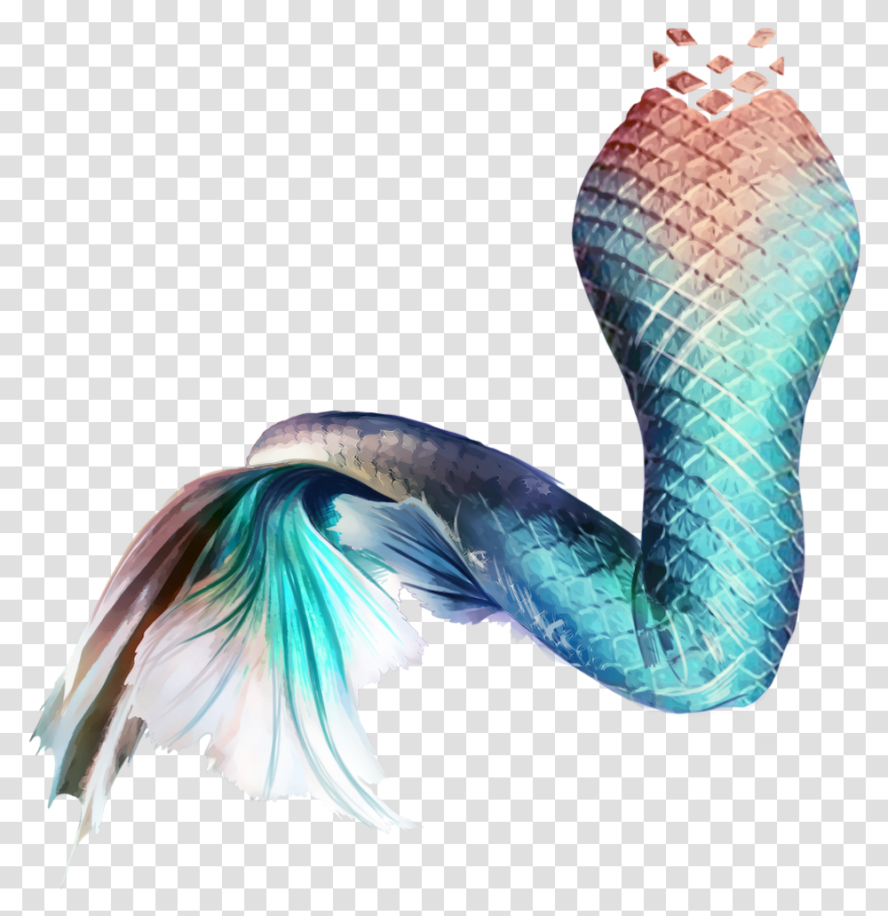 Mermaid Tail Siren Sticker Mug Mermaid Tail Hd, Bird, Animal, Reptile, Sea Life Transparent Png