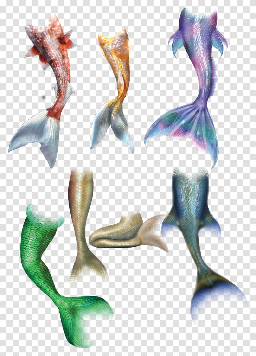 Mermaid Tail Transprent Mermaid Fish Scale Drawing Transparent Png