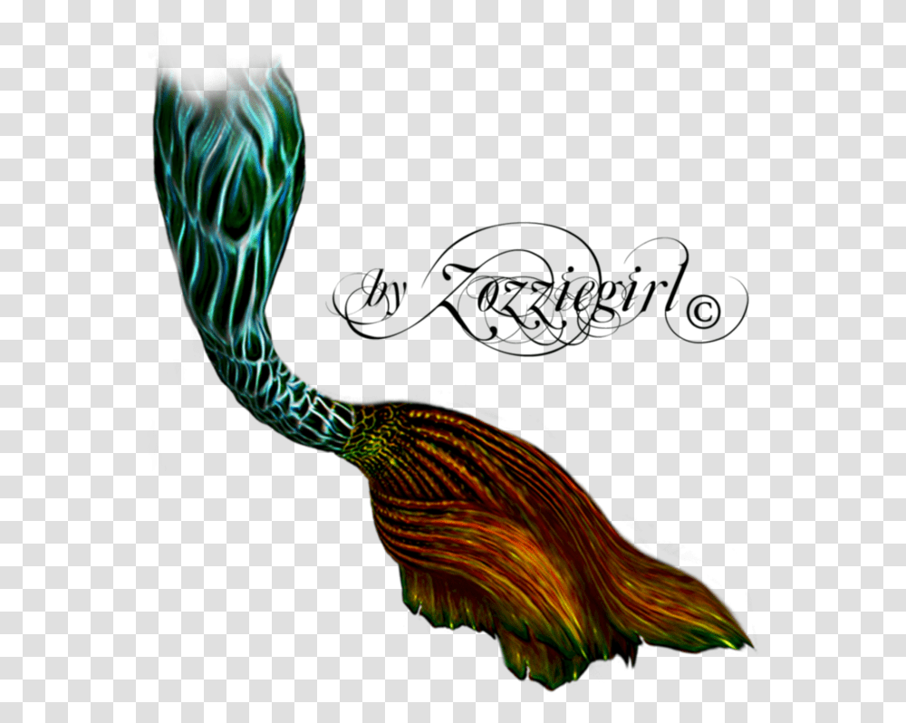 Mermaid Tails, Bird, Animal, Pattern, Ornament Transparent Png