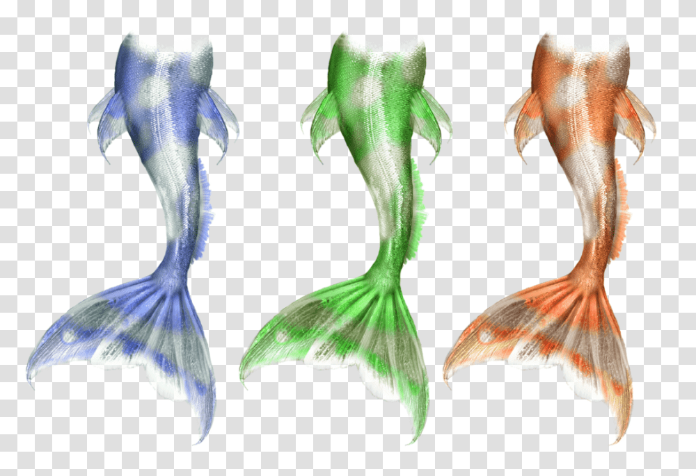 Mermaid Tails Stock, Animal, Bird, Invertebrate, Plant Transparent Png