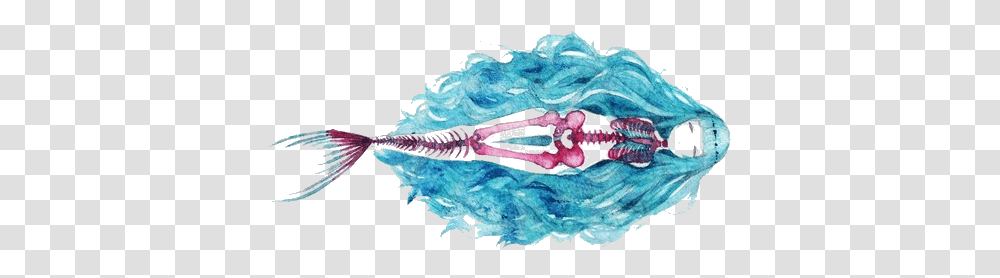 Mermaid Tumblr 2 Image Blue Haired Anime Mermaid, Seafood, Squid, Sea Life, Animal Transparent Png