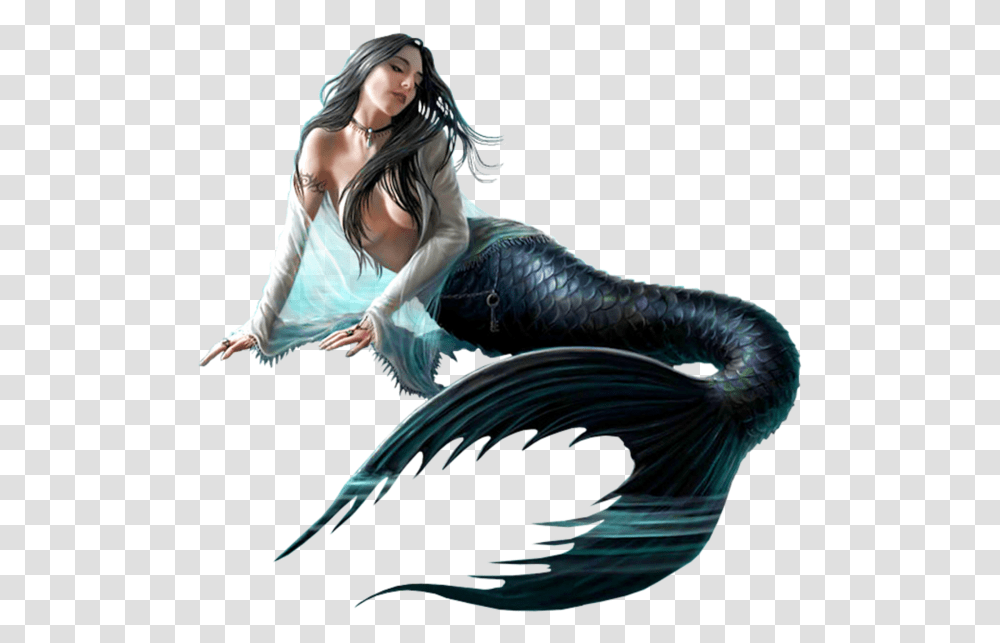 Mermaids With Black Tails, Bird, Animal, Person, Human Transparent Png