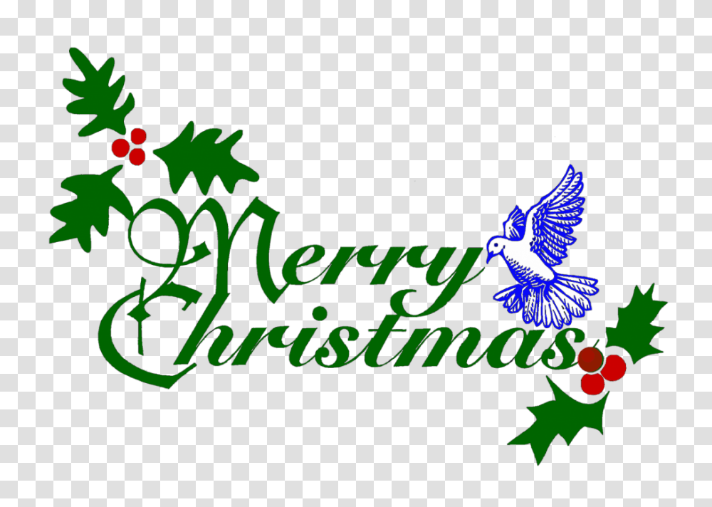 Merry Christmas Background, Jay, Bird, Animal, Blue Jay Transparent Png