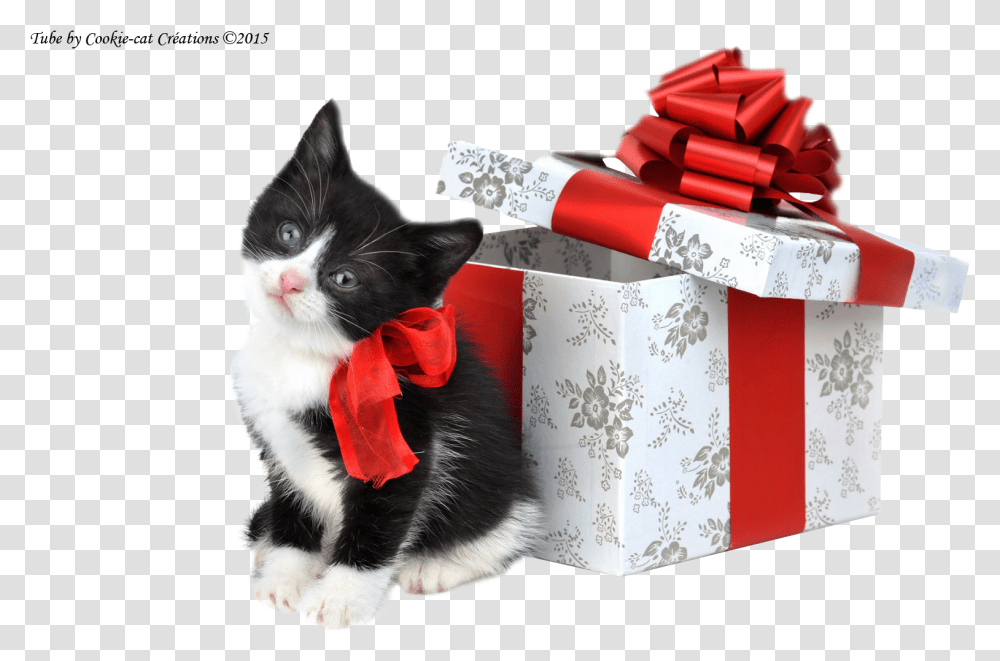 Merry Christmas Black And White Cat, Pet, Mammal, Animal, Weapon Transparent Png