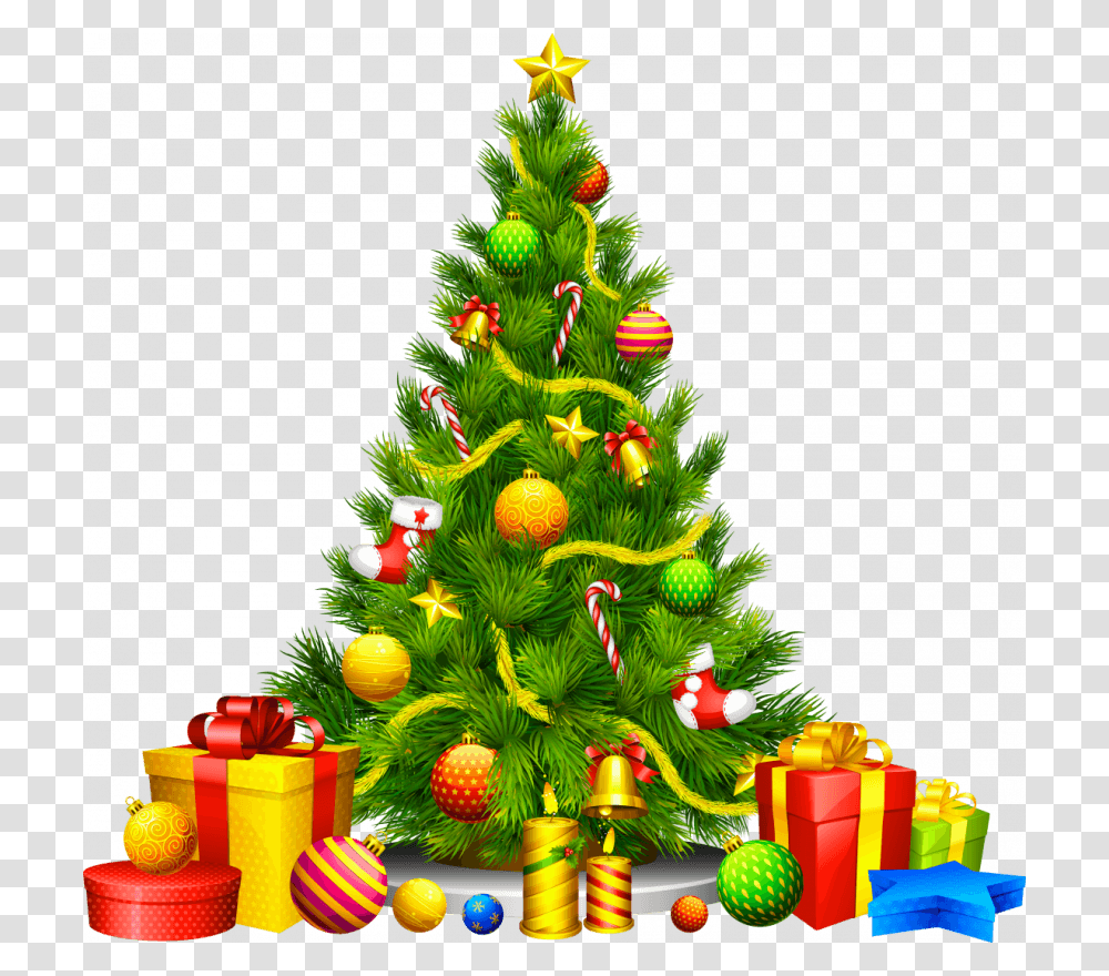 Merry Christmas Day Photo Fr Christmas Tree Clipart Hd, Ornament, Plant, Bush, Vegetation Transparent Png