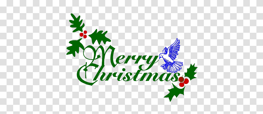 Merry Christmas Effects And Texts World, Jay, Bird, Animal, Blue Jay Transparent Png