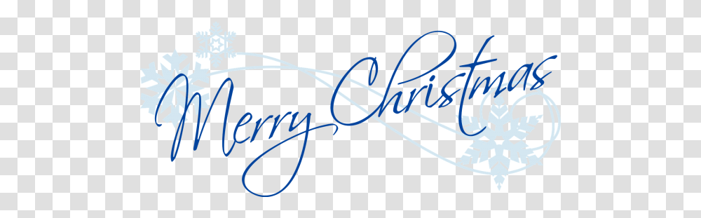 Merry Christmas From Infoplex Blue Merry Christmas, Text, Handwriting, Bow, Signature Transparent Png