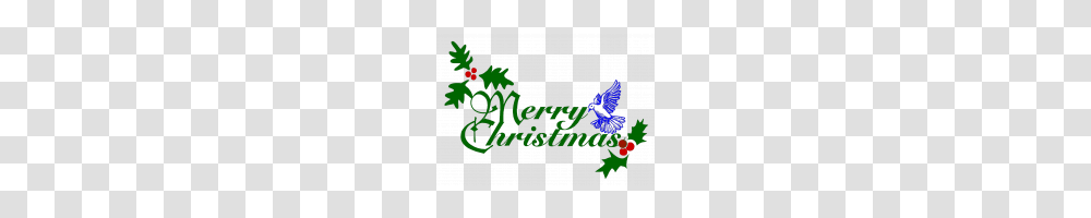 Merry Christmas Greetings With Greeting Note Cards Clip Art, Jay, Bird, Animal, Blue Jay Transparent Png