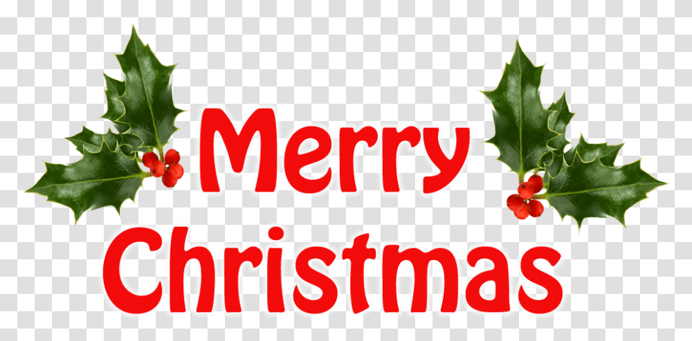 Merry Christmas Holly No Background Merry Christmas With Holly, Text, Label, Food, Plant Transparent Png