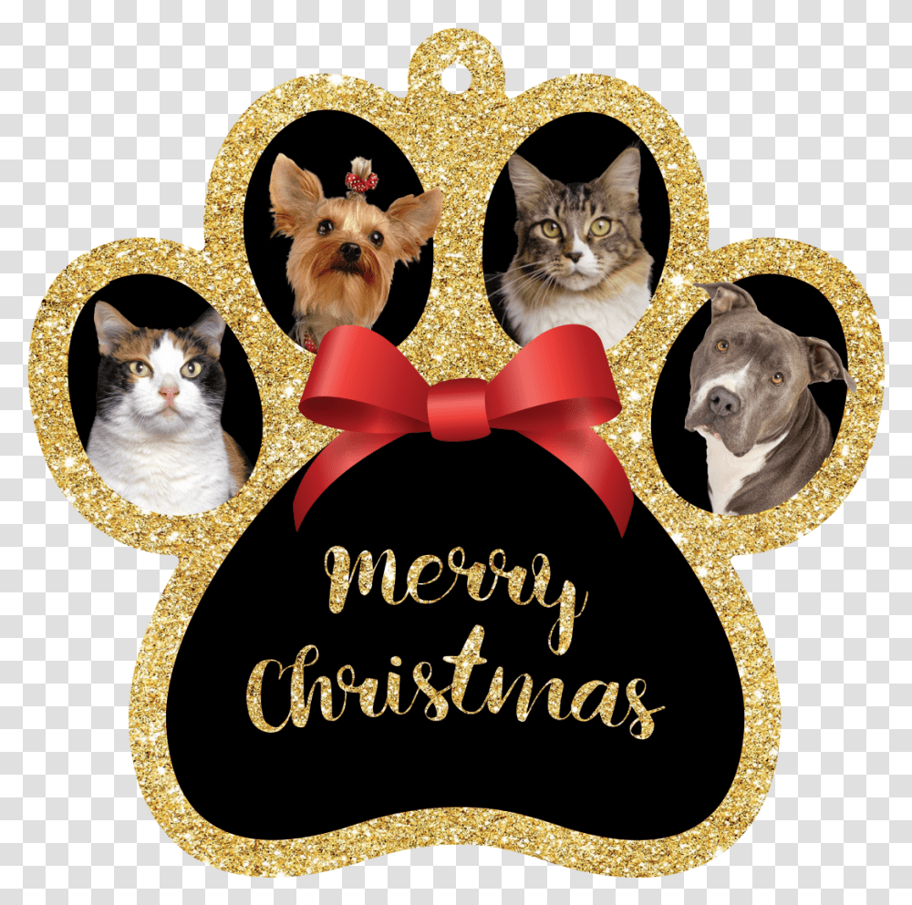 Merry Christmas Pets At Home, Cat, Mammal, Animal, Rug Transparent Png