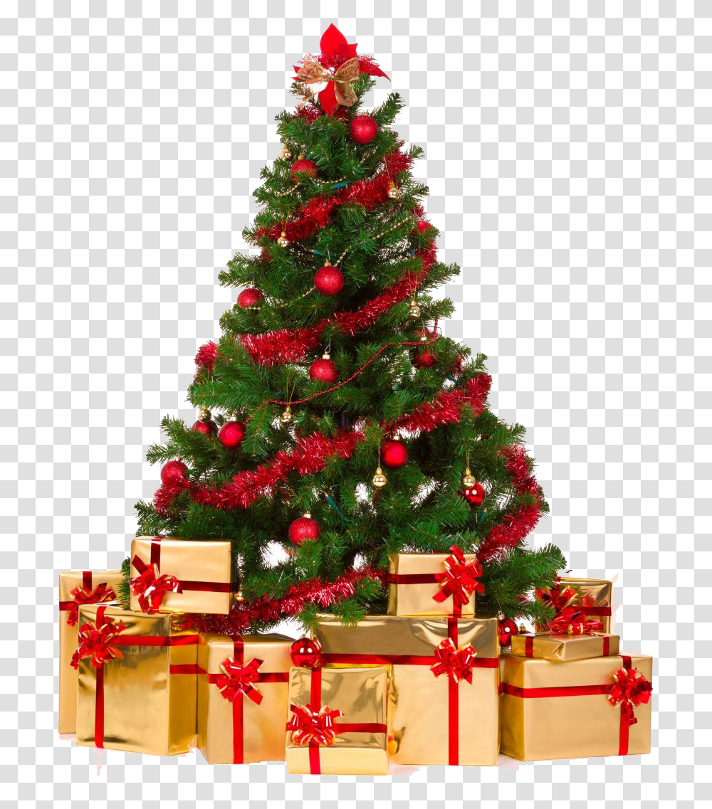 Merry Christmas Tree, Ornament, Plant, Vegetation Transparent Png