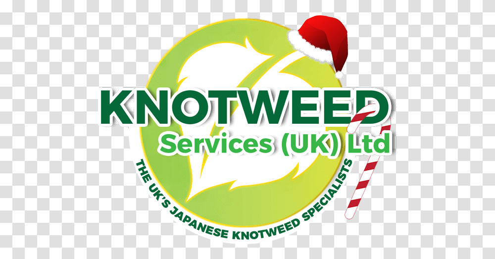 Merry Christmas & Happy New Year Knotweedservicescouk Anime, Label, Text, Clothing, Logo Transparent Png