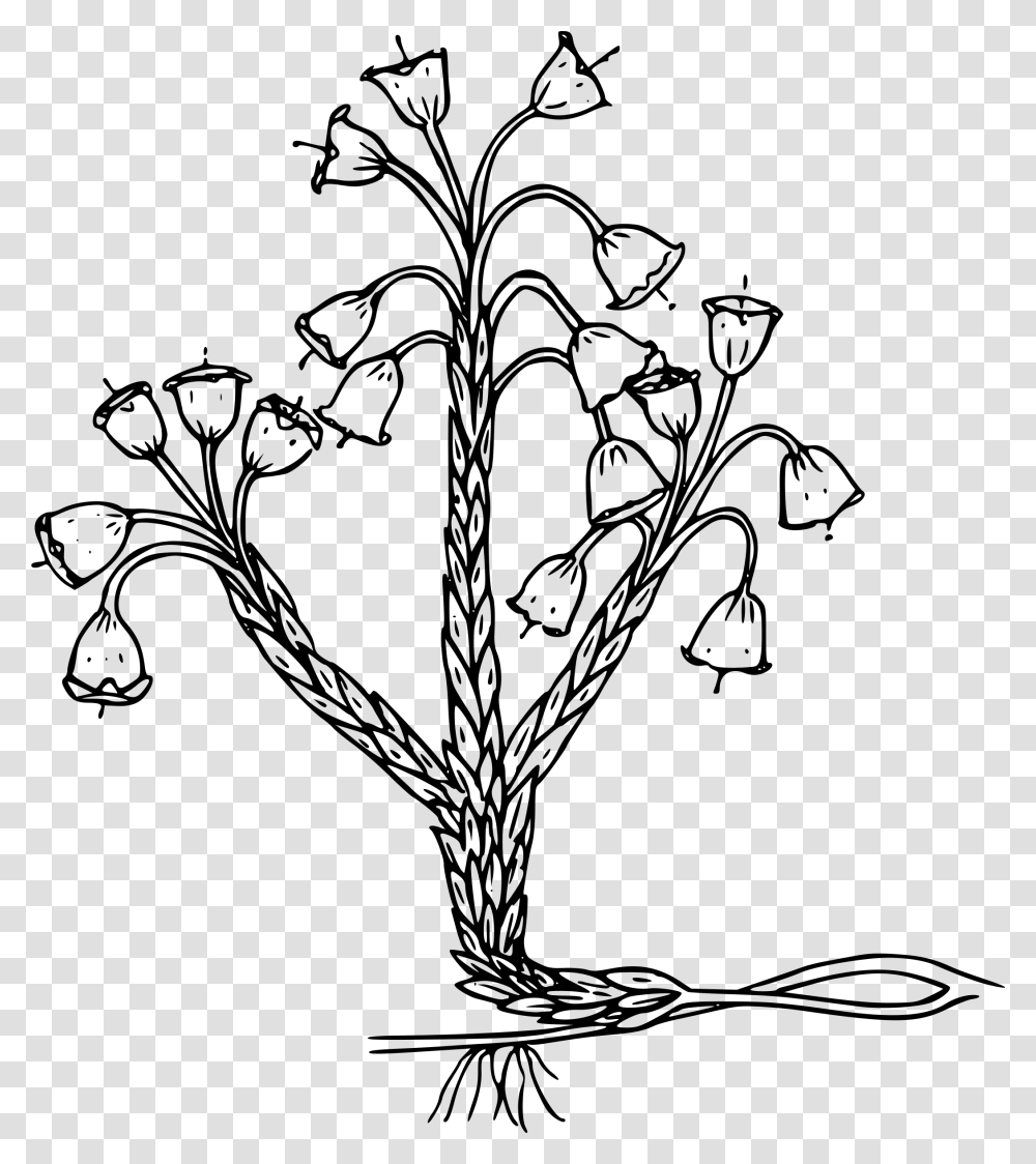 Merten S Mountain Lily Clip Arts, Gray, World Of Warcraft Transparent Png