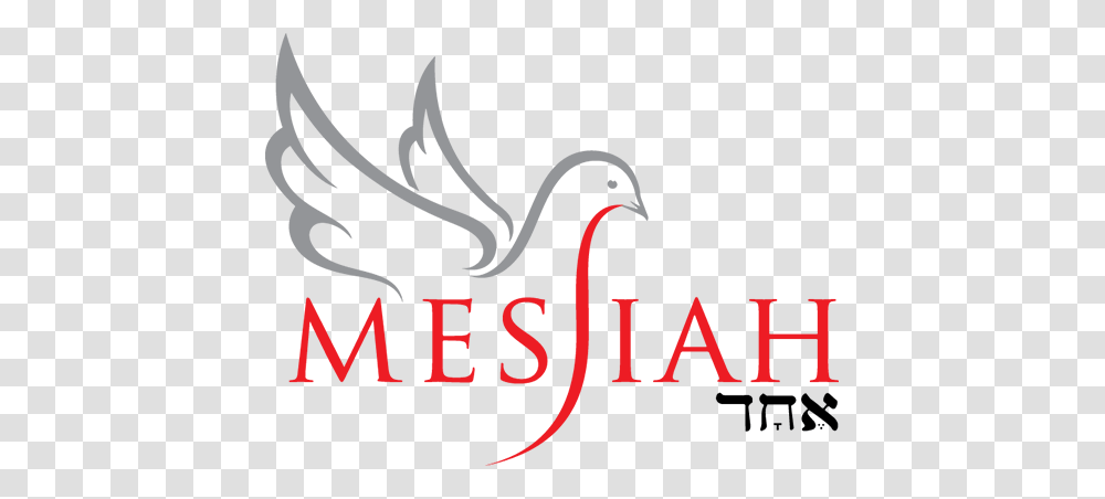 Messiah Echad Messianic Congregation Synagogue In Georgetown Tx Transparent Png
