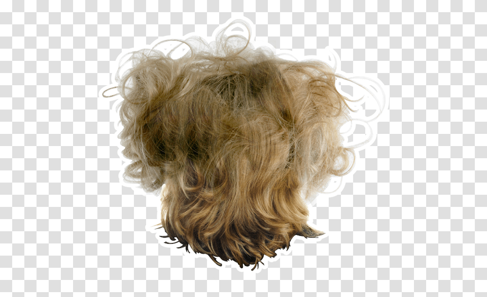 Messy Hair Background, Dog, Pet, Canine, Animal Transparent Png
