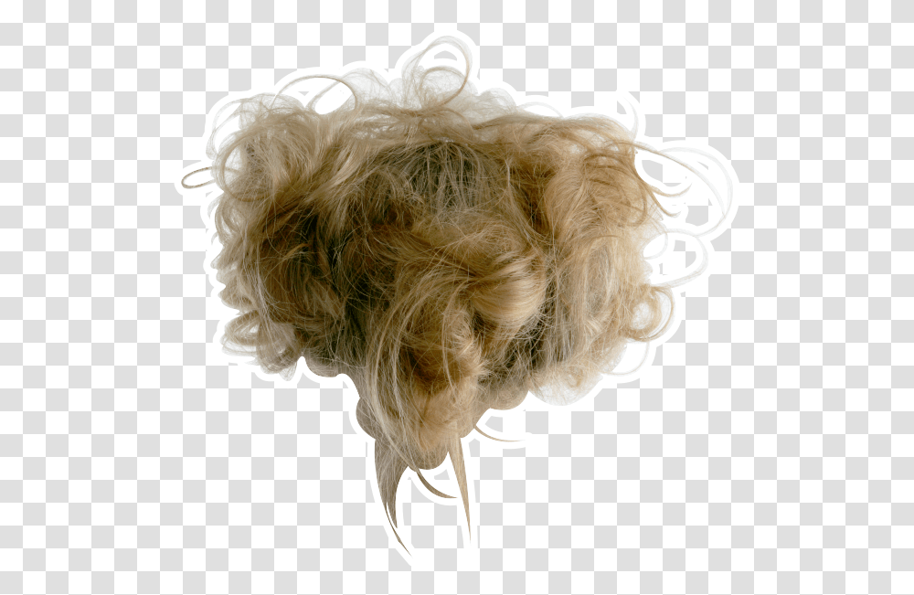 Messy Hair Messy Hair Blonde, Pillow, Cushion, Dog, Pet Transparent Png