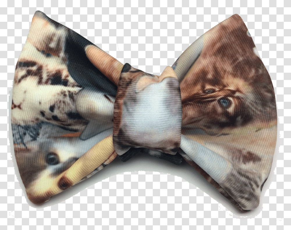 Meta Cat Butterfly, Tie, Accessories, Accessory, Necktie Transparent Png