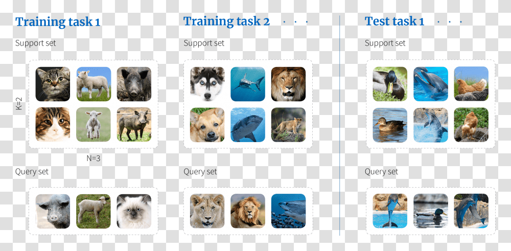Meta Learning Few Shot Learning, Pet, Animal, Canine, Mammal Transparent Png