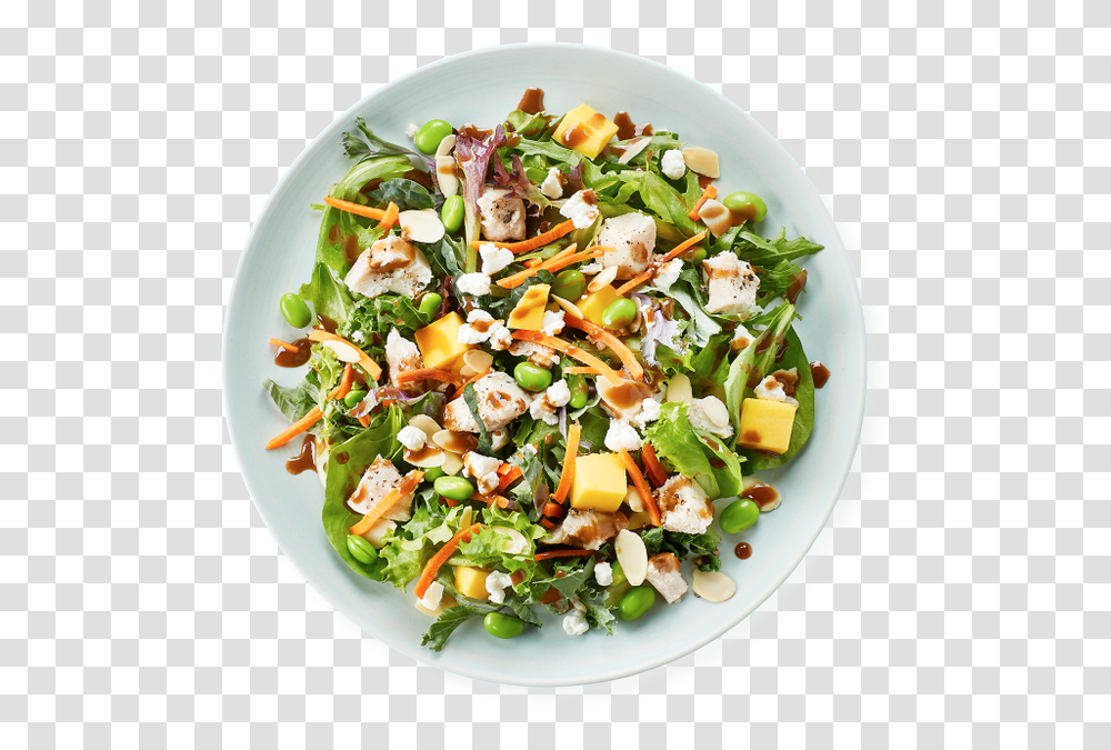 Metaboost Salad Caesar Salad Dressing Epicurious, Plant, Food, Produce, Dish Transparent Png