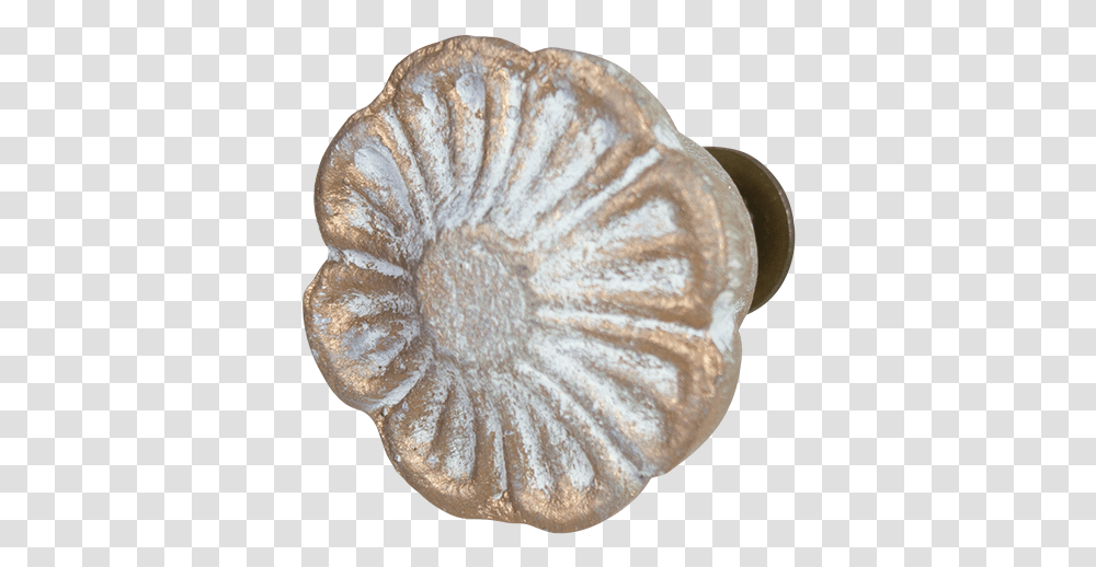 Metal Door Knob Gold Bowl, Fossil, Bread, Food, Fungus Transparent Png