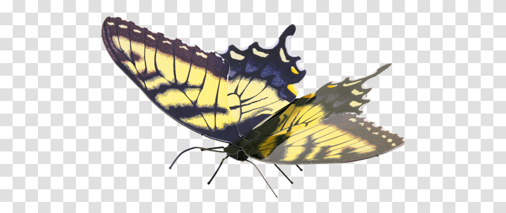 Metal Earth Butterflies Metal Earth Butterfly, Insect, Invertebrate, Animal, Moth Transparent Png