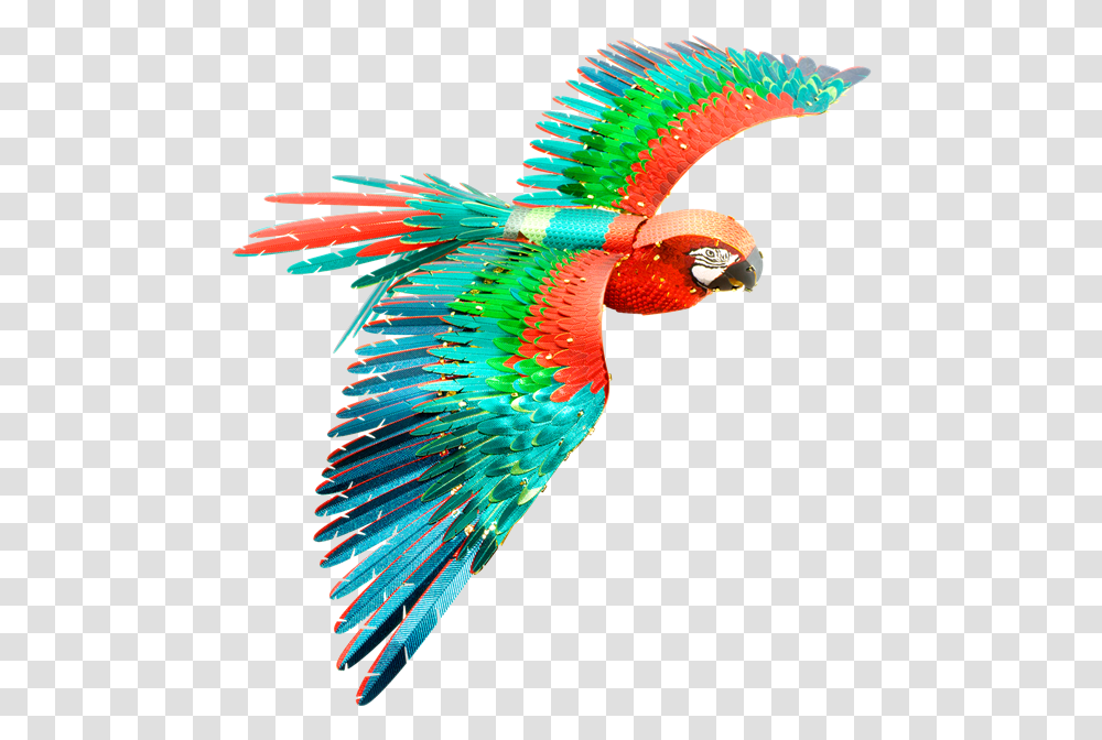 Metal Earth Macaw, Parrot, Bird, Animal, Flying Transparent Png