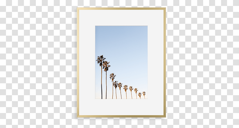 Metal Gallery Matte Gold Picture Frame, Palm Tree, Plant, Arecaceae, Rug Transparent Png