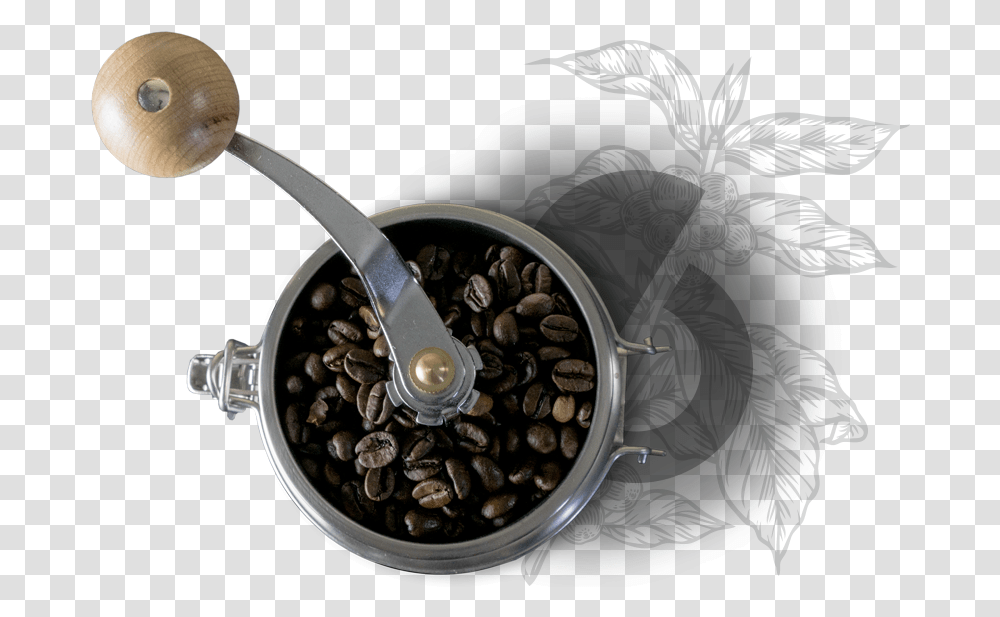 Metal Gear Exclamation, Plant, Spoon, Coffee Cup, Vegetable Transparent Png