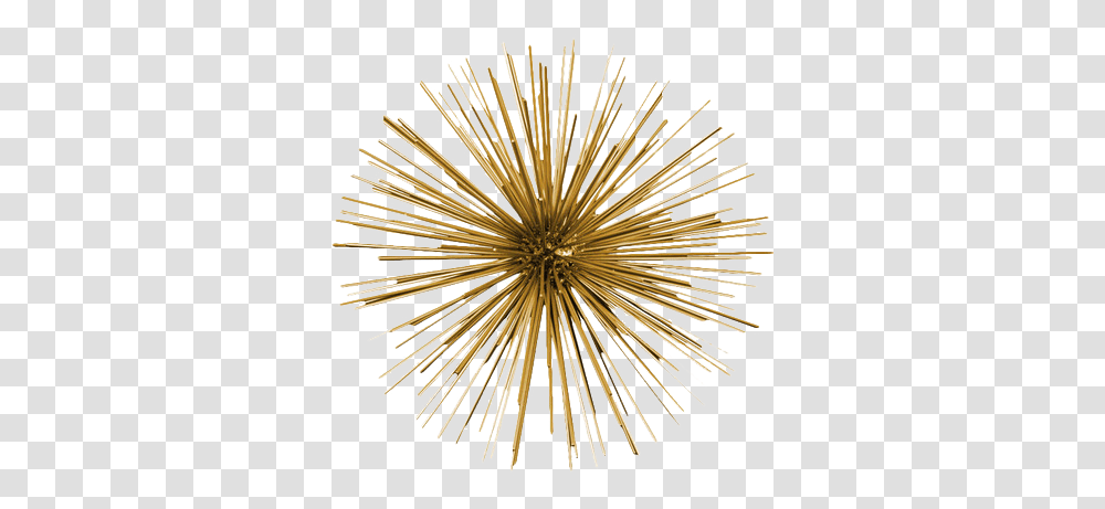 Metal Sea Urchin Ornamental Sculpture Wall Decor Gold 85 Horizontal, Jewelry, Accessories, Accessory, Text Transparent Png