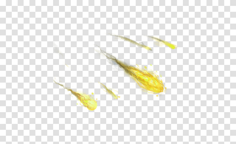 Meteor, Nature, Animal, Plant Transparent Png