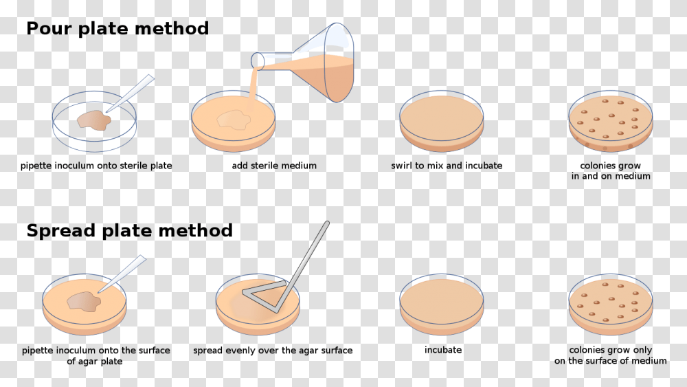 Metoda Pytek Lanych, Lighting, Tabletop, Furniture, Drum Transparent Png