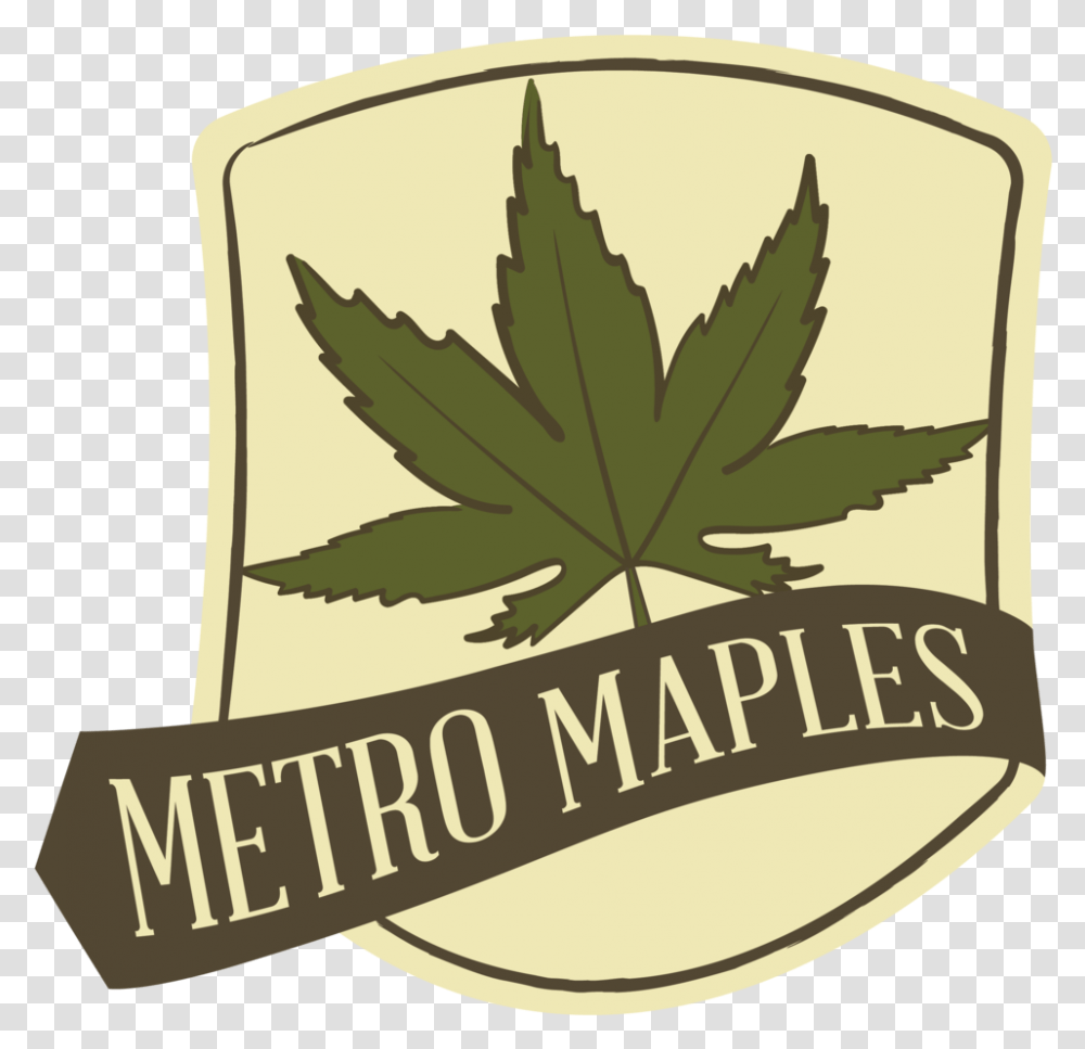 Metro Maples Maple, Leaf, Plant, Tree, Weed Transparent Png