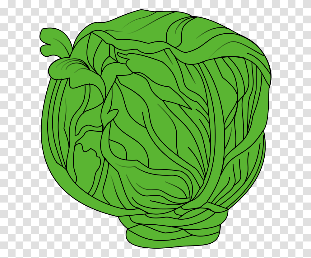 Meuble Choux Cabut, Plant, Vegetable, Food, Cabbage Transparent Png