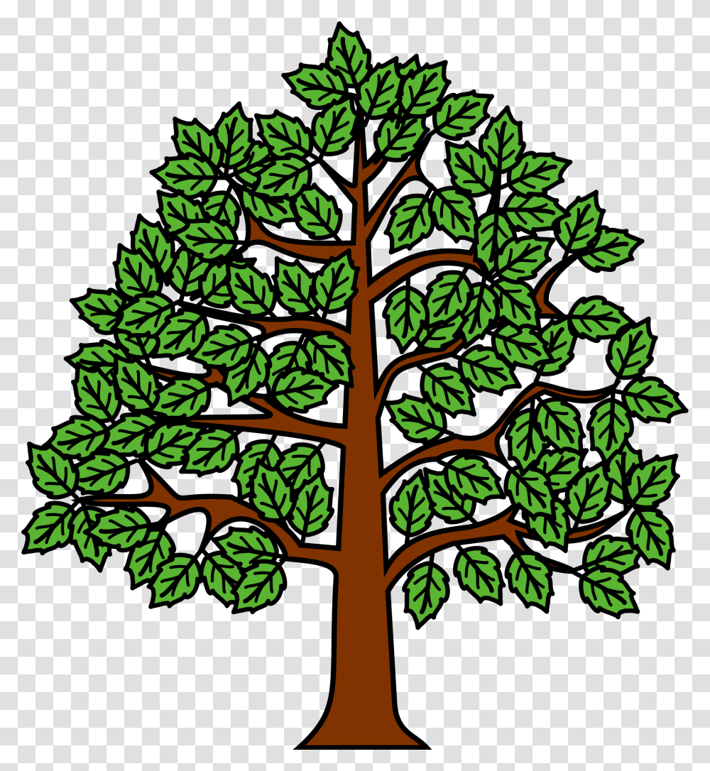 Meuble Htre Au Naturel Tree Heraldry Wiki Commons, Green, Plant, Vegetation Transparent Png