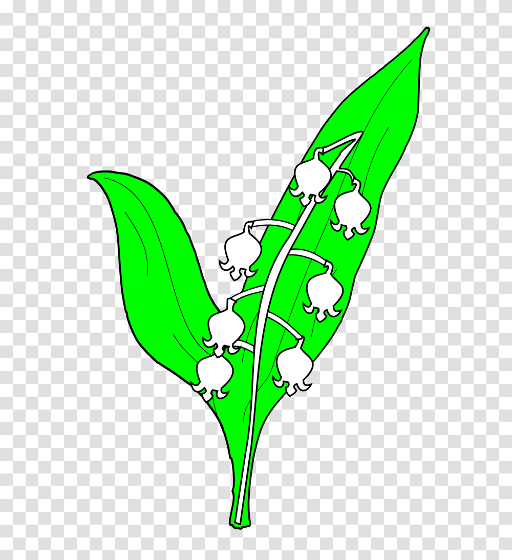 Meuble Muguet, Leaf, Plant, Green Transparent Png