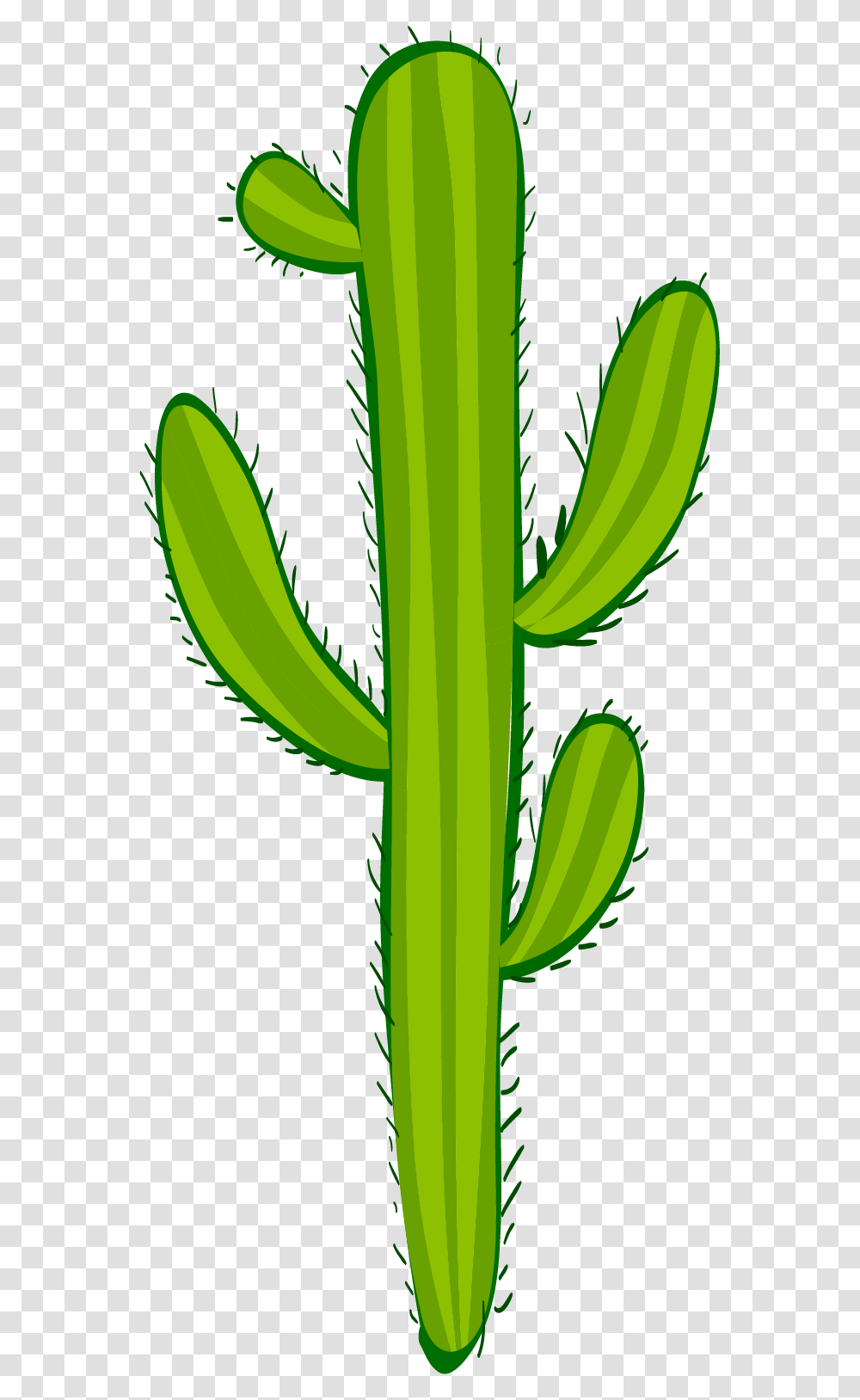 Mexican Cactus, Plant, Green, Banana, Fruit Transparent Png