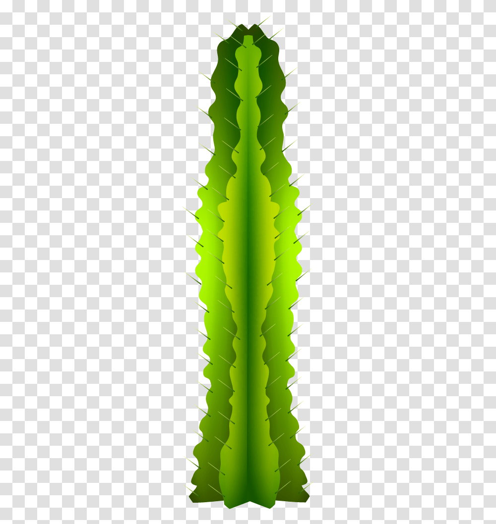 Mexican Cactus, Plant, Leaf, Green, Pineapple Transparent Png