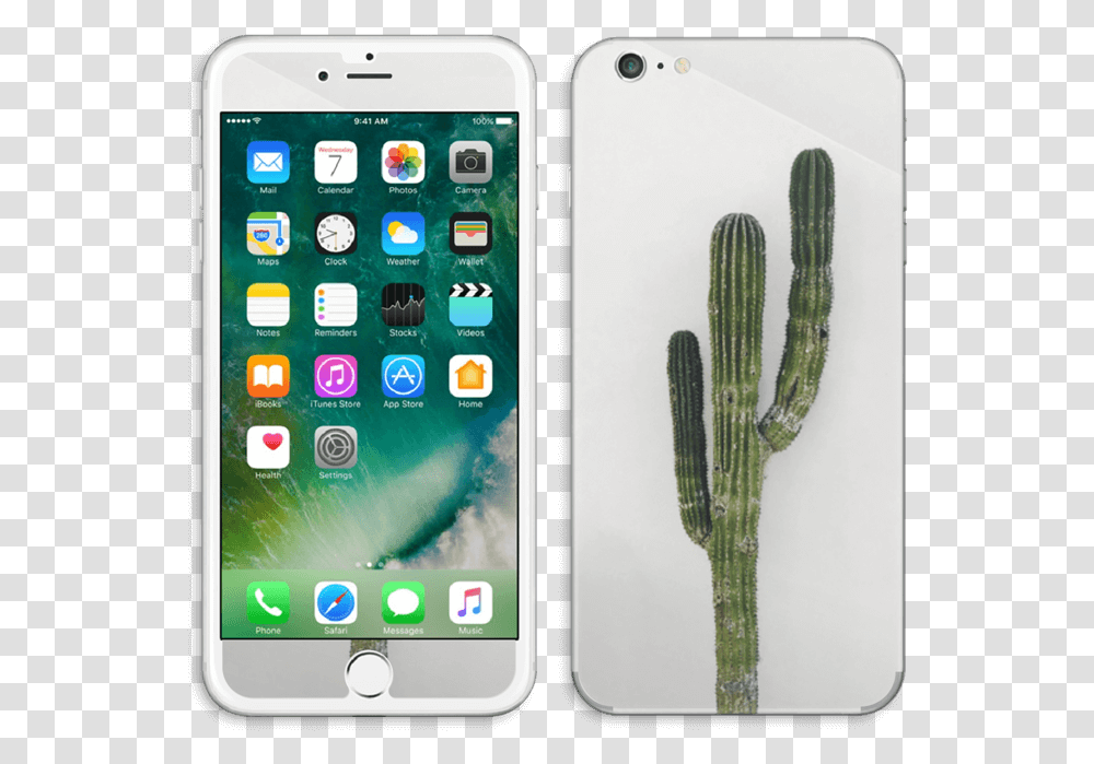 Mexican Cactus Skin Iphone 6 Plus, Mobile Phone, Electronics, Cell Phone, Plant Transparent Png