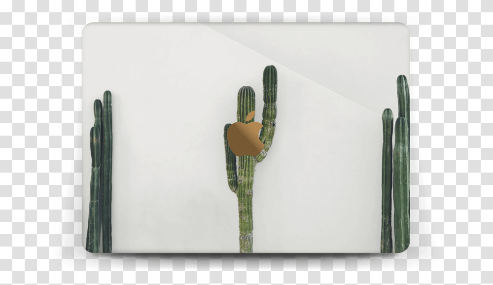 Mexican Cactus Skin Macbook 12 Apple Macbook Pro, Plant Transparent Png