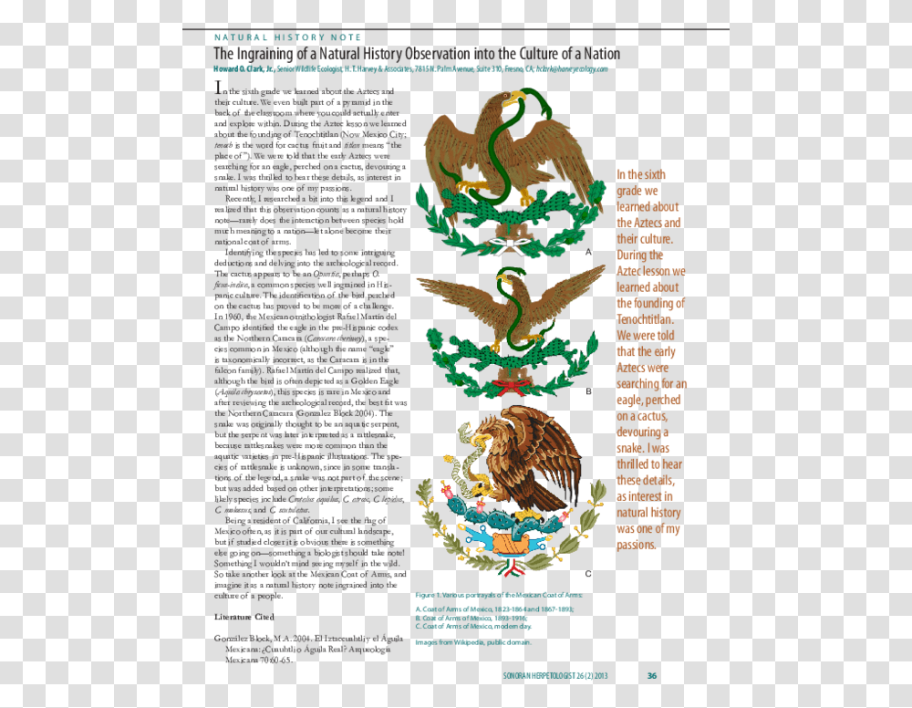 Mexican Eagle, Poster, Advertisement, Flyer Transparent Png