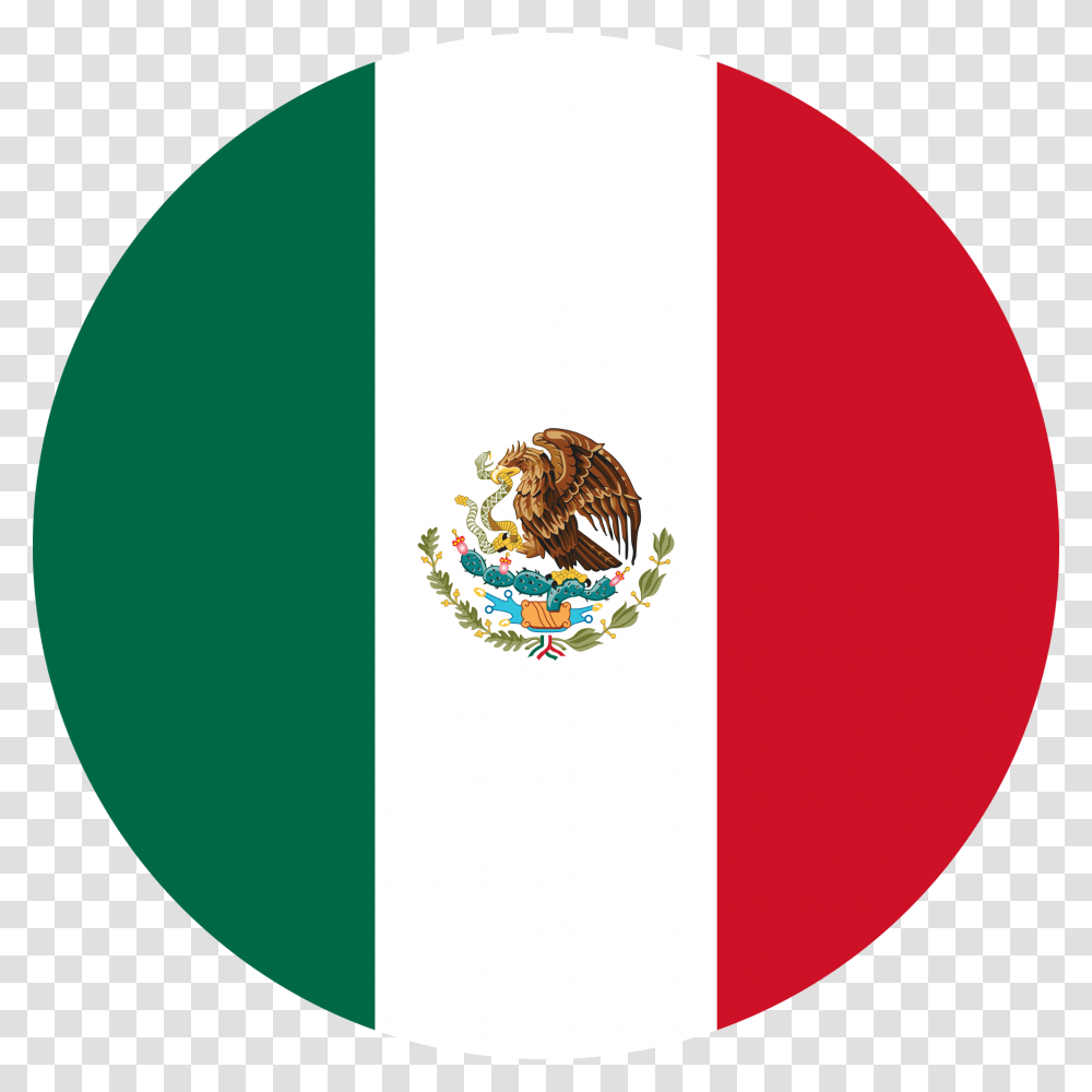 Mexican Flag Background, Logo, Accessories, Wasp Transparent Png