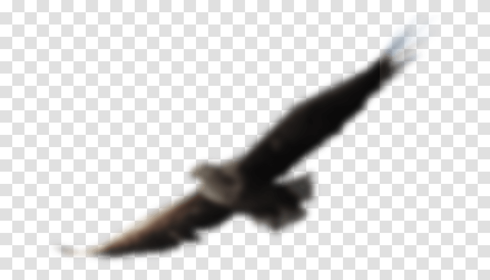 Mexican Flag Eagle, Knife, Blade, Weapon, Weaponry Transparent Png