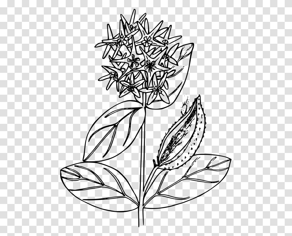 Mexican Flowers Clipart Milkweed Black And White, Gray, World Of Warcraft Transparent Png