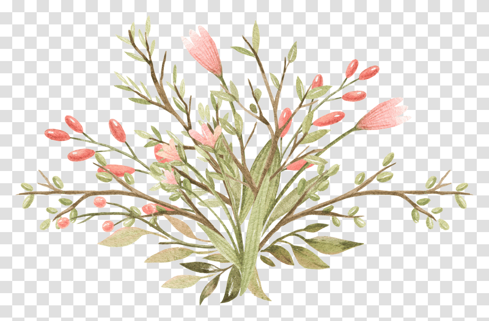 Mexican Flowers Grevillea, Plant, Blossom, Acanthaceae, Tree Transparent Png