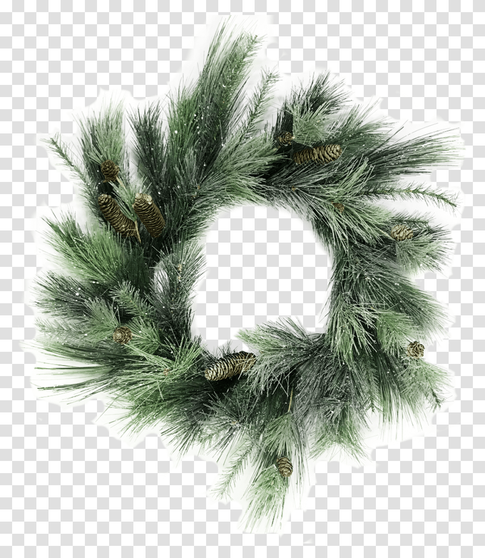 Mexican Pinyon, Wreath, Photography, Green Transparent Png