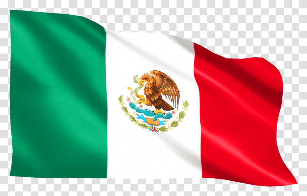 Mexico Flag By Mtc Tutorials Mexico Country Flag, American Flag, Chicken, Poultry Transparent Png